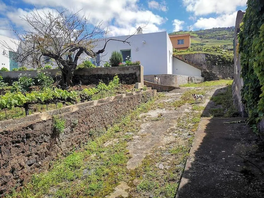 Casa Entre Vinedos Villa Santa Cruz de Tenerife Spain